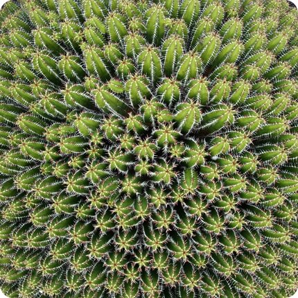 Cykelferie og MTB-ferie på Club La Santa, Lanzarote